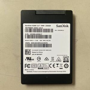 SanDisk X300 SATA SSD 256GB 2.5インチ SD7SB6S 動作確認済み L5817