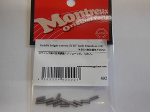 MONTREUX Saddle height screws 5/16 Inch Stainless(12)