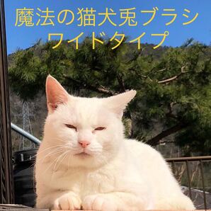 ブラッシング嫌いよっといで〜 魔法の猫犬兎ぶらし ワイドタイプ