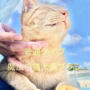 魔法の猫犬兎ブラシ 普通タイプ ブラッシング嫌いな子をブラシに寄ってくる子にしちゃいましょう!