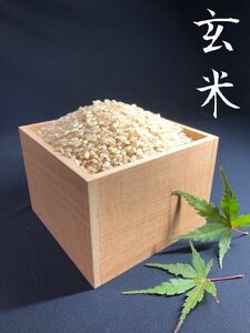 令和3年埼玉県産　彩のかがやき　玄米5kg