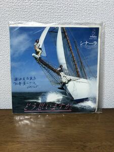 シナーラ どう思いますか 西武百貨店（株）80年春夏ねテーマCMソング ブルー・スカイ レコード 昭和レトロ 音楽 ミュージック サンプル