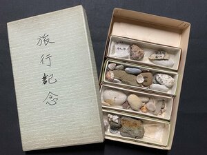 ｊ■8*　昭和期　石収集趣味コレクション　旅行記念品　古い石　古い貝/D27前