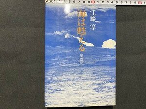 c■　昭和 書籍　海は甦える　第4部　江藤淳 著　昭和58年初版　文藝春秋社　/　J7