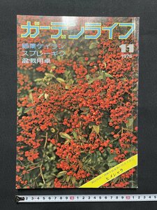 ｊ■　昭和　雑誌　ガーデンライフ　1976年11月号　細葉ケイラン　スプレーキク　盆栽用卓　ヒメシャラ　誠文堂新光社/J1