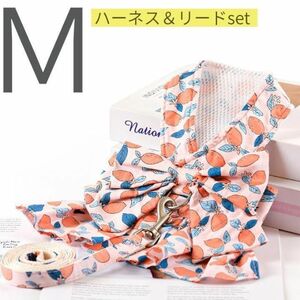 M★ビッグリボン★レモン柄★ピンク★ハーネス★リード★セット★犬服★猫服★犬の服★ペット用品★ペット服★小型犬★ドッグウェア