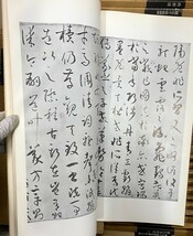 57冊 書跡名品叢刊 二玄社 旧版 王羲之/米/甲骨 他 中国 書道 金石 書画 石刻 法帖 法書 古書 古本 20220619-12_画像5