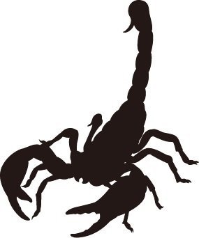 Placa de silueta♪ Scorpion Producto acrílico grande Scorpion RC-31L ★Hecho en Japón★ Objeto interior para colgar en la pared, Artículos hechos a mano, interior, bienes varios, otros