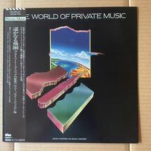 VARIOUS - THE WORLD OF PRIVATE MUSIC_画像1