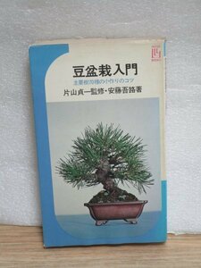  Showa era 51 year # legume bonsai introduction main .70 kind. small making. kotsu one-side mountain . one / cheap wistaria ../ Ikeda bookstore 