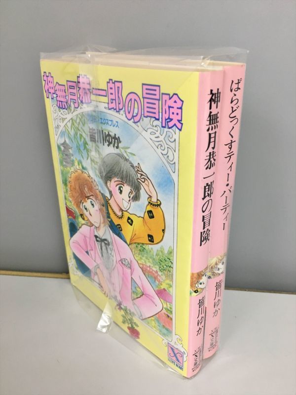 人気色 皆川ゆか ティーパーティ シリーズ 11冊セット 絶版 - 通販