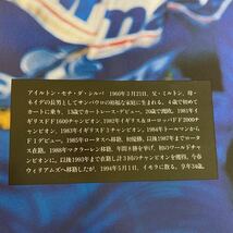 1994年　5月1日　イモラ　から　セナの時間が止まった 僕のF1もストップしたまま　アイルトン　セナ　追悼グッズ_画像6