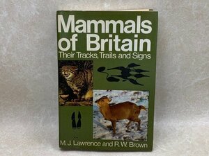 洋書　イギリスの動物　足跡・獣道　YAC378