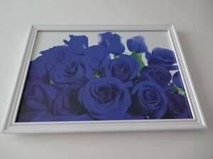 アートフレーム§写真ポスター付A4額(選択可)§ブルー・ローズ§青・薔薇・花束・花