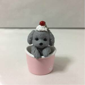 いぬぱん◇トイカップードル◇トイプードル カップケーキ 犬 パン◇スペシャルカラーver.◇美品