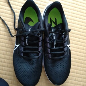 ナイキ ペガサス38 NIKE ナイキ