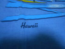 １９７０年代製 TRANSTEES OF USA HAWAII VINTAGE SURFONG SURFER ビンテージ Tシャツ サーフィン オールドサーフ トロピカル サーファー_画像3