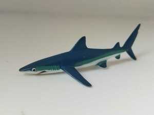 ヨシキリザメ　よしきりざめ　吉切鮫　葦切鮫　サメ　鮫　さめ　シャーク　SHARK　　フィギュア　置物　置き物　飾り物　飾り