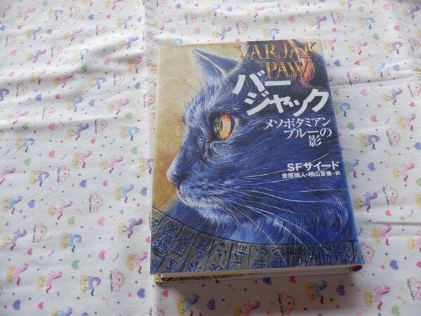B6　『バージャック　メソポタミアンブルーの影』　SFサイード作　金原瑞人・相山夏奏訳　偕成社発行
