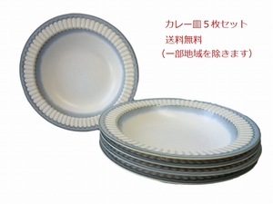 送料無料 サイネリア 21cm パスタ皿 ５枚 セット レンジ可 食洗機対応 美濃焼 日本製 北欧風 深皿 洋食器