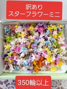 ●訳あり●スターフラワーミニ マルセラ 小箱入り350輪以上 ハーバリウム 花材 レジン封入 ハーバリウムボールペン ハンドメイド