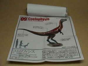 恐竜模型図鑑 海洋堂C.C.ザウルス 白パッケージ版 Aカラーパターン 09 コエロフィシス フィギュア