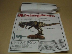 恐竜模型図鑑 白パッケージ版Ａカラー パキケファロサウルス フィギュア 海洋堂