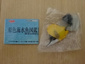 原色海水魚図鑑 Ⅰ フエヤッコダイ フィギュア ユージン ガシャポン 熱帯魚 観賞魚 笛奴鯛