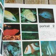 ☆後藤道夫　珊瑚礁の海　写真集海底動物記☆_画像3