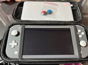 任天堂 Nintendo Switch LITE 本体 グレー 保護ケース付き フィルム付き