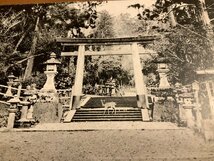 PP-3483 ■送料無料■ 奈良県 大和 春日神社 二の鳥居 鹿 灯篭 動物 神社 寺 宗教 仏教 絵葉書 写真 印刷物 古写真/くNAら _画像2