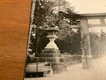 PP-3487 ■送料無料■ 奈良県 大和 春日神社 一の鳥居 灯篭 人 神社 寺 宗教 仏教 絵葉書 写真 印刷物 古写真/くNAら _画像3