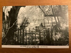 PP-3450 ■送料無料■ 爲朝神社 為朝神社 源為朝 墳墓 墓地 神社 寺 宗教 武士 武将 絵葉書 写真 印刷物 古写真/くNAら