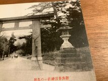 PP-3487 ■送料無料■ 奈良県 大和 春日神社 一の鳥居 灯篭 人 神社 寺 宗教 仏教 絵葉書 写真 印刷物 古写真/くNAら _画像4