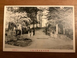 PP-3739 ■送料無料■ 岩手県 奥州 平泉 中尊寺坂口 桜 花 神社 寺 宗教 絵葉書 写真 印刷物 古写真/くNAら