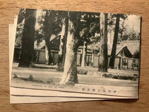 PP-3798 ■送料無料■ 三重県 伊勢 伊勢外宮御正殿 建築物 建物 神社 寺 宗教 仏教 ●剥離有 絵葉書 写真 印刷物 古写真/くNAら 