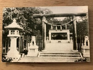 PP-3996 ■送料無料■ 東京都 乃木神社 赤坂 乃木坂 神社 寺 宗教 狛犬 木の鳥居 灯篭 軍人 教育者 乃木大将 絵葉書 写真 古写真/くNAら