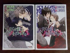 二宮悦巳/原作:神奈木智 計2冊『災厄は僕を好きすぎる 2～3』徳間書店 キャラコミックス Chara 