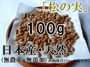 【即決】 北海道産 天然 松の実 100g 山菜