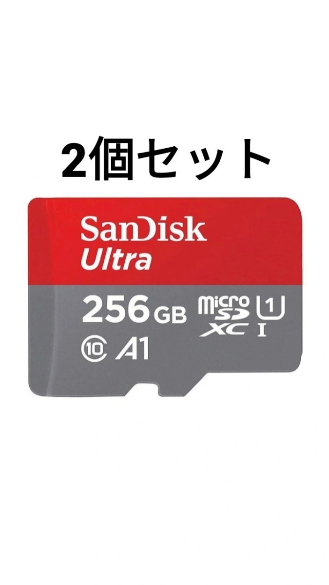 ご注文で当日配送 SanDisk マイクロSDカード SDSQUAR-256G-GN6MA