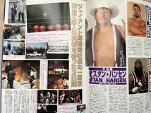 全日本プロレス 2000 エキサイトシリーズ　パンフレット　三沢光晴、高山善廣、ベイダー、スタンハンセン、小橋健太_画像6