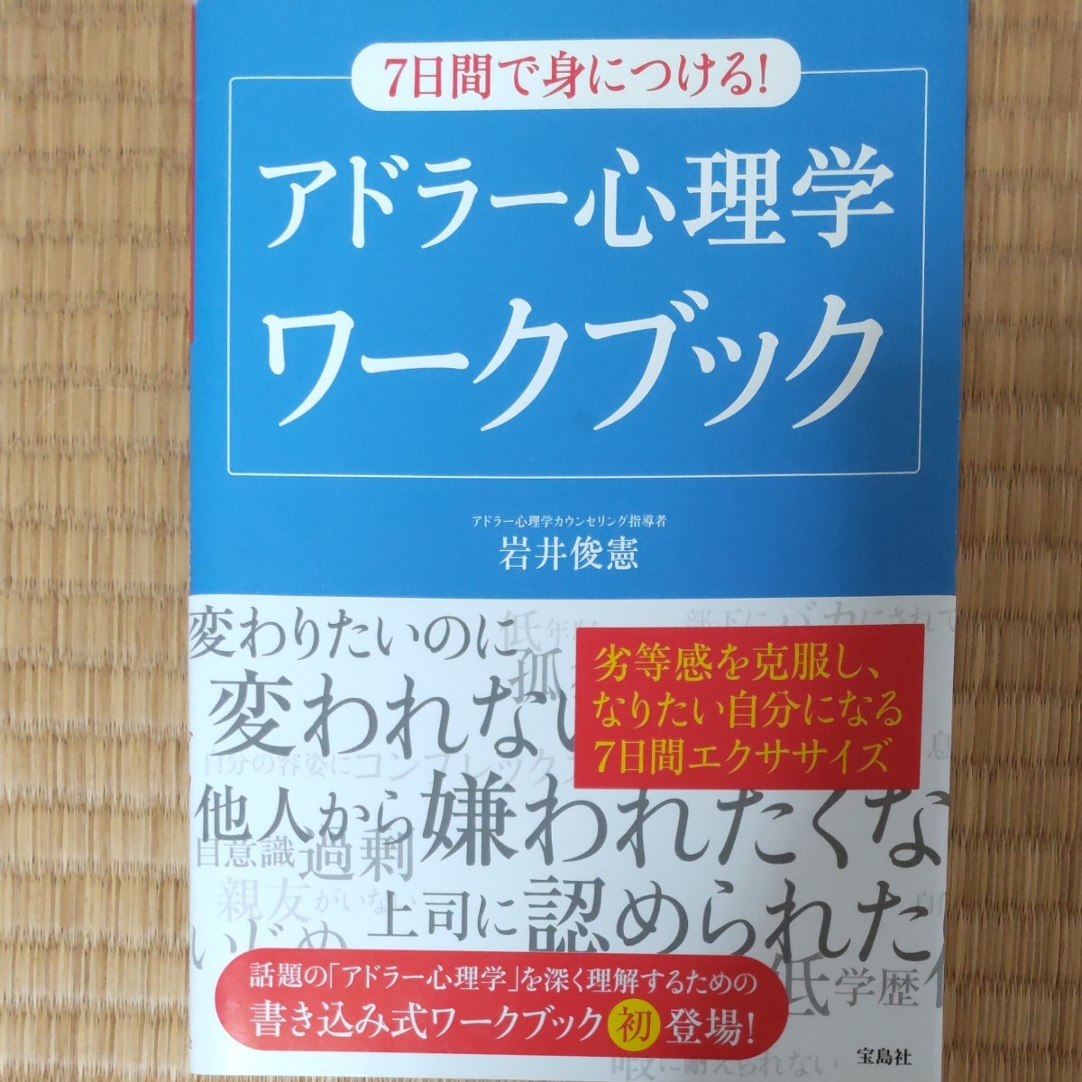 絶版レア!!改訂版 フロイト選集 全集揃 教文社 月報付 検:夢判断/心理