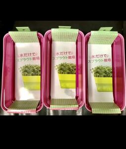 me2129 Ricci .ru sprouts farm 24 type pink 3 piece set 