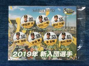 福岡ソフトバンクホークス「2019年 新入団選手 缶バッジ（甲斐野・杉山・野村・板東・水谷・泉・奥村選手） 」【非売品・未使用】#2