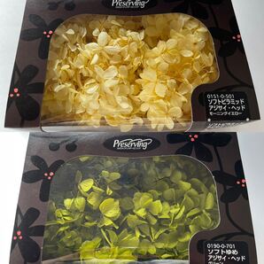 プリザーブドフラワー 花材 あじさい 2箱セット グリーン モーニングイエロー 大地農園 紫陽花 アジサイ