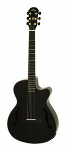  быстрое решение ◆ новый товар ◆ бесплатная доставка ARIA FET-F2/BnG BK(Black) электрический . акустическая гитара электроакустическая гитара / с футляром 