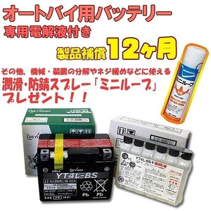 GS YUASA GS ユアサ YT4L-BS バイク用 バッテリー +専用電解液 おまけ付