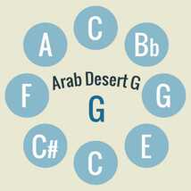 送料無料 ハンドパン スチールパン 打楽器 パーカッション Arab Desert G(59cm 9notes) ソフトケース付属 民族楽器_画像2