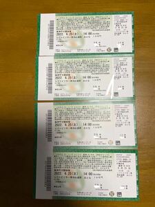 ■6月25日（土）　阪神甲子園球場　阪神タイガースＶＳ中日ドラゴンズ　　レフトビジター応援席１4：００試合開始　全部で4枚あります　