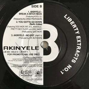 Various - Liberty Extracts No.1 Akinyele - Break A Bitch Neck